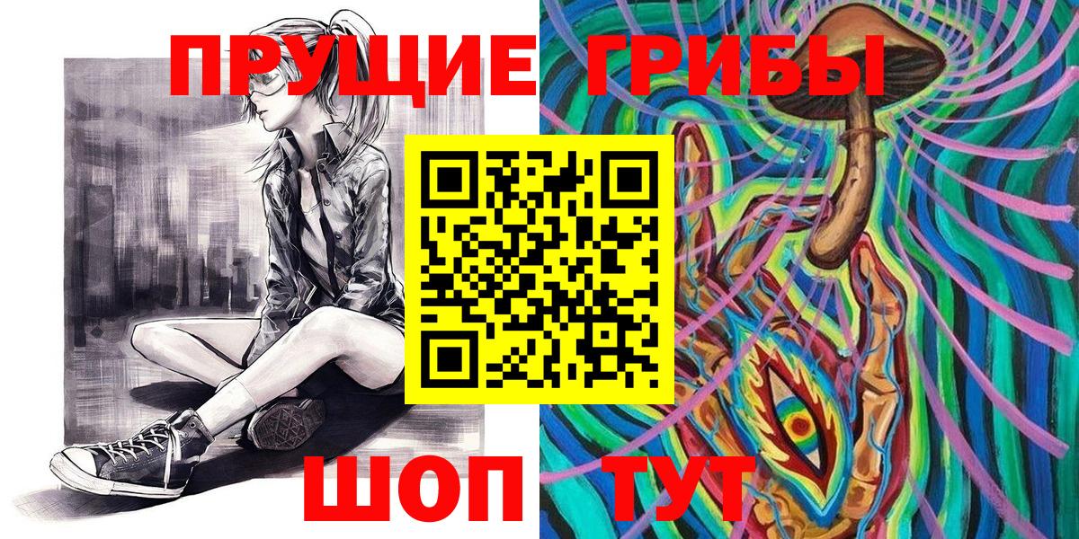 Донской  Галлюциногенные грибы прущие грибы  купить   Вход с VPN 
