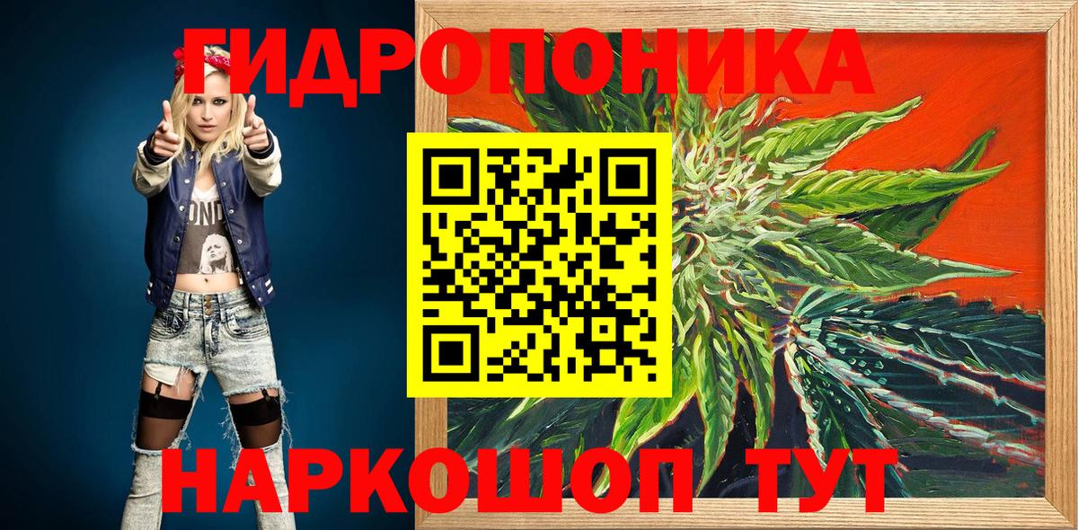 Бошки марихуана гибрид  Марихуана семена  Донской  Бошки Шишки конопля  Канабис Amnesia  Вход с VPN 